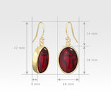 Oval Earrings - Red Abalone Shell Measurements